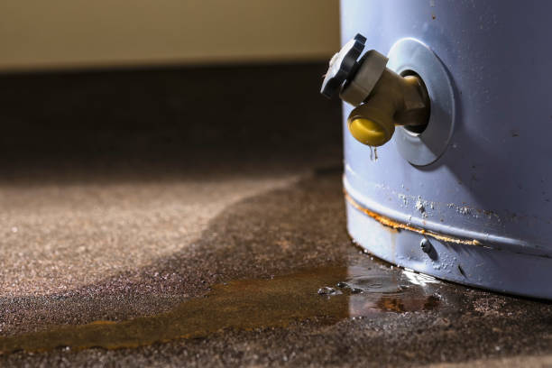 Best Flood damage cleanup  in Bradford, OH