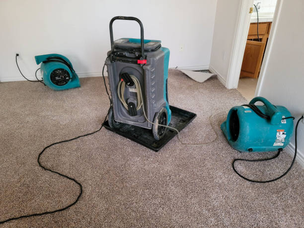 Best Mold removal after water damage  in Bradford, OH