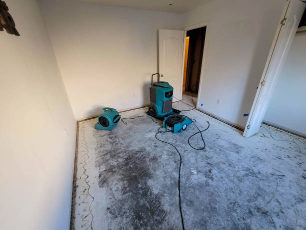 Best Residential water damage restoration  in Bradford, OH