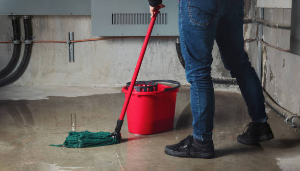 Best Water damage cleanup near me  in Bradford, OH